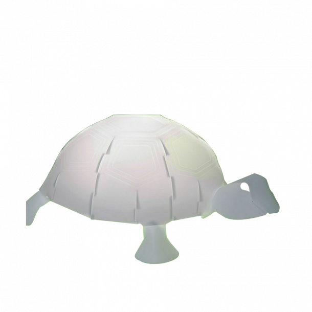 Zoolight - Skildpadde Bordlampe